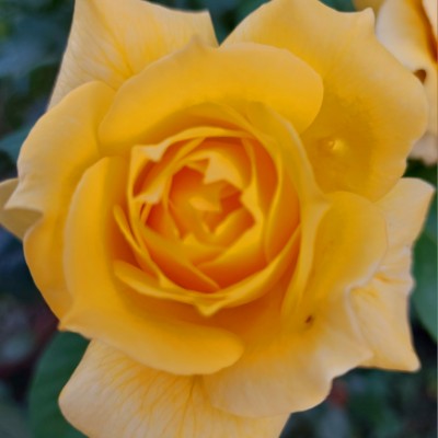 Будь в Форме 💪💪💪 Алеся post image