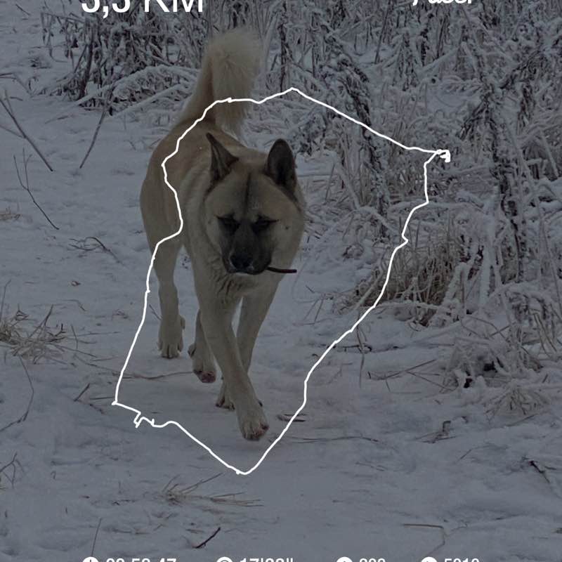 Роман post 1