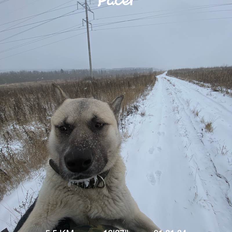 Роман post 1