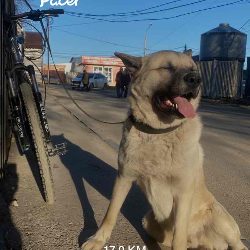 Роман post 1