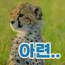 앤데일