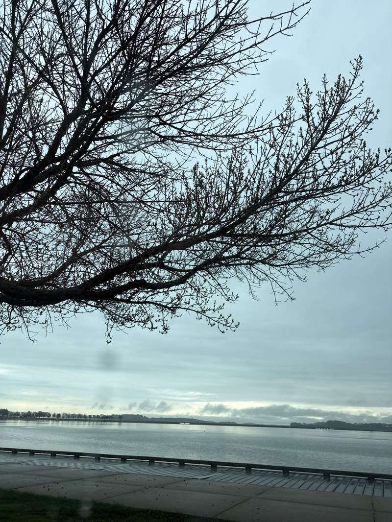 walking near me in Marine Park in spring