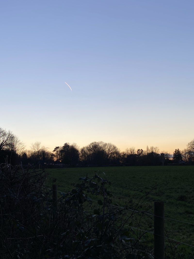 walking near me in Downe Recreation Ground in winter