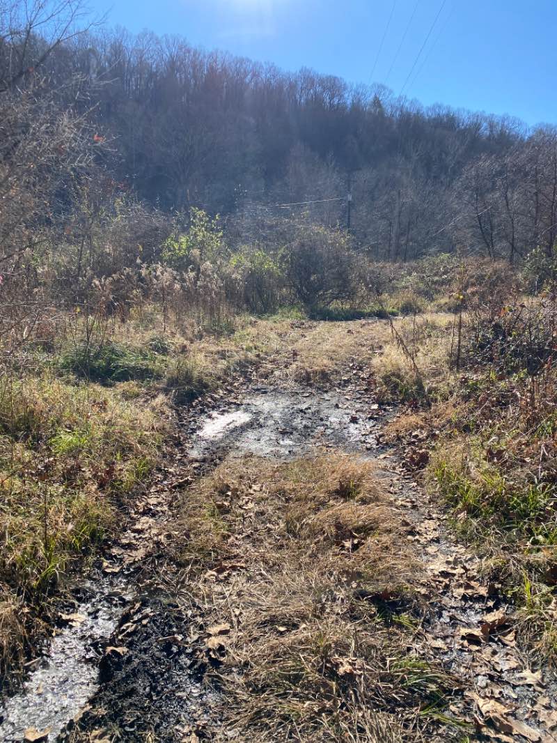 walking near me in Needleseye Park in winter