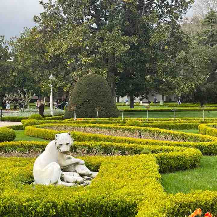 Vladimir 🇧🇬 post 2