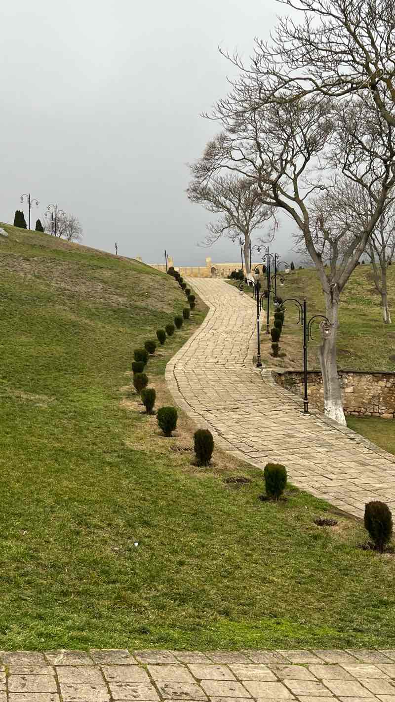 walking near me in Парк им. Сулеймана Стальского in winter