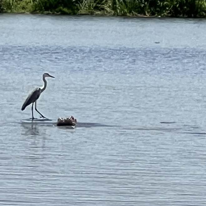 Vesko 🇷🇸 post 2