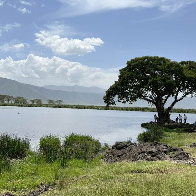 Vesko 🇷🇸 post 2