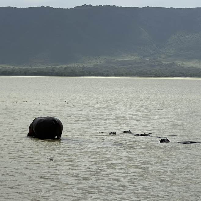 Vesko 🇷🇸 post 3