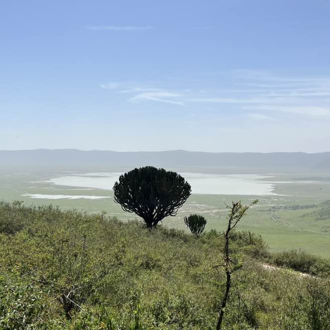 Vesko 🇷🇸 post 3