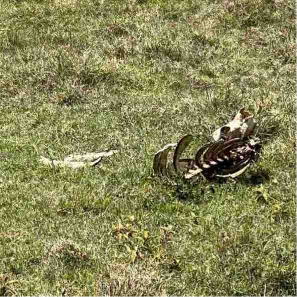 Vesko 🇷🇸 post 3