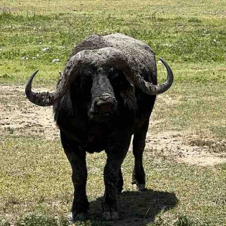 Vesko 🇷🇸 post 2