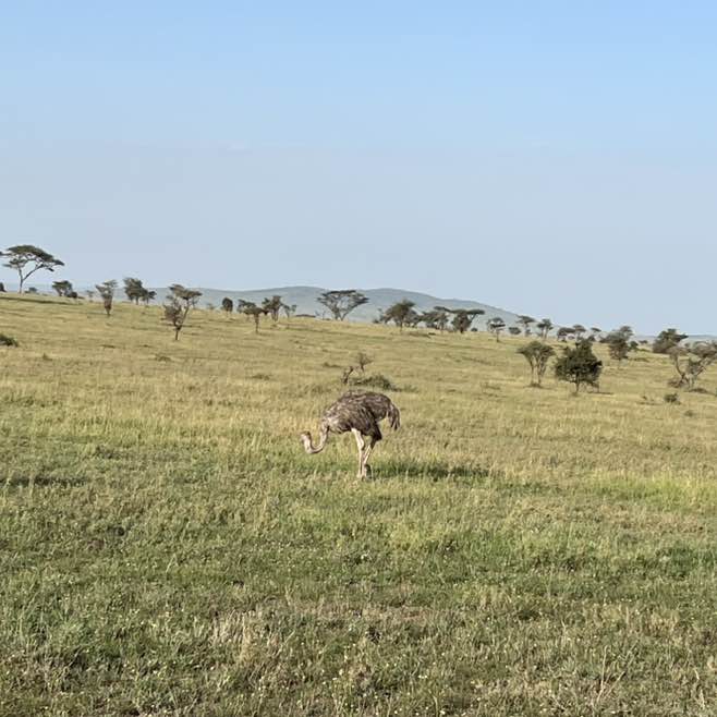 Vesko 🇷🇸 post 2