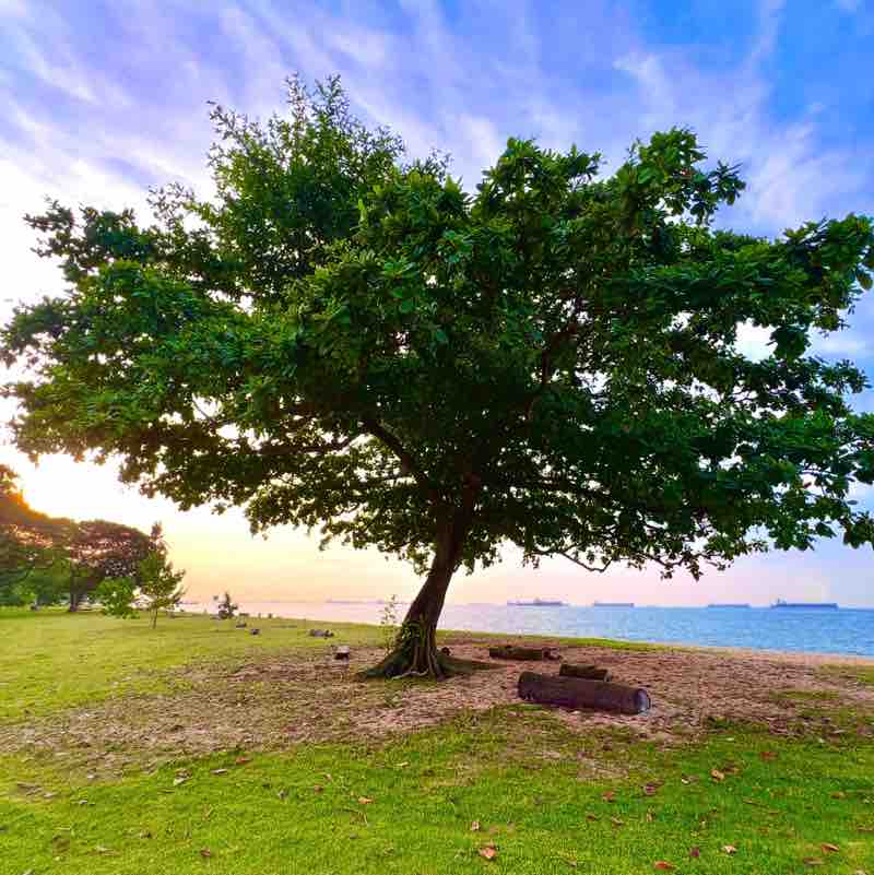 Zainal Abidin post 3