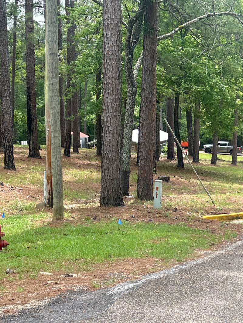 walking near me in Maynor Creek Park in spring