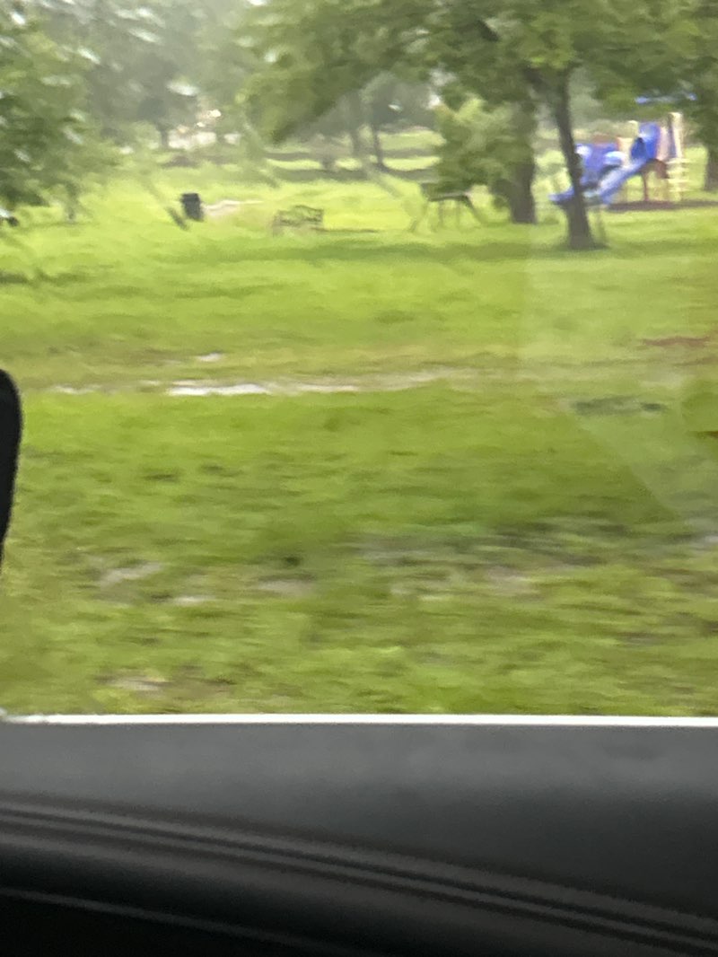 walking near me in Gardiner Park in spring