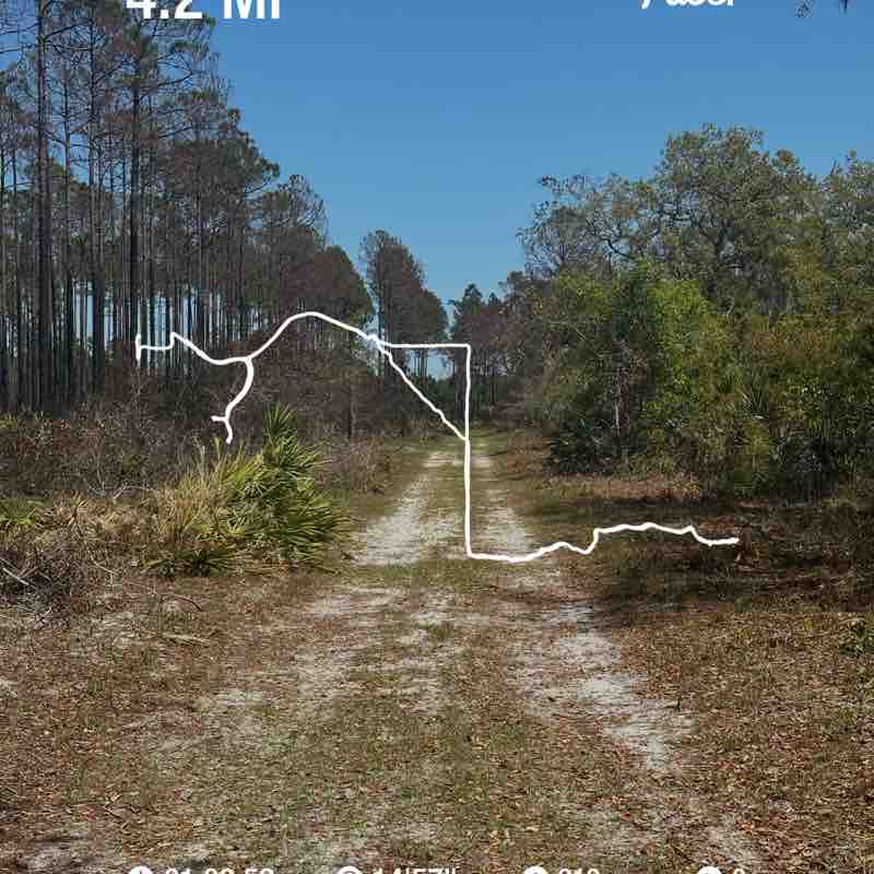 Alexandra Dones Sosa post 1