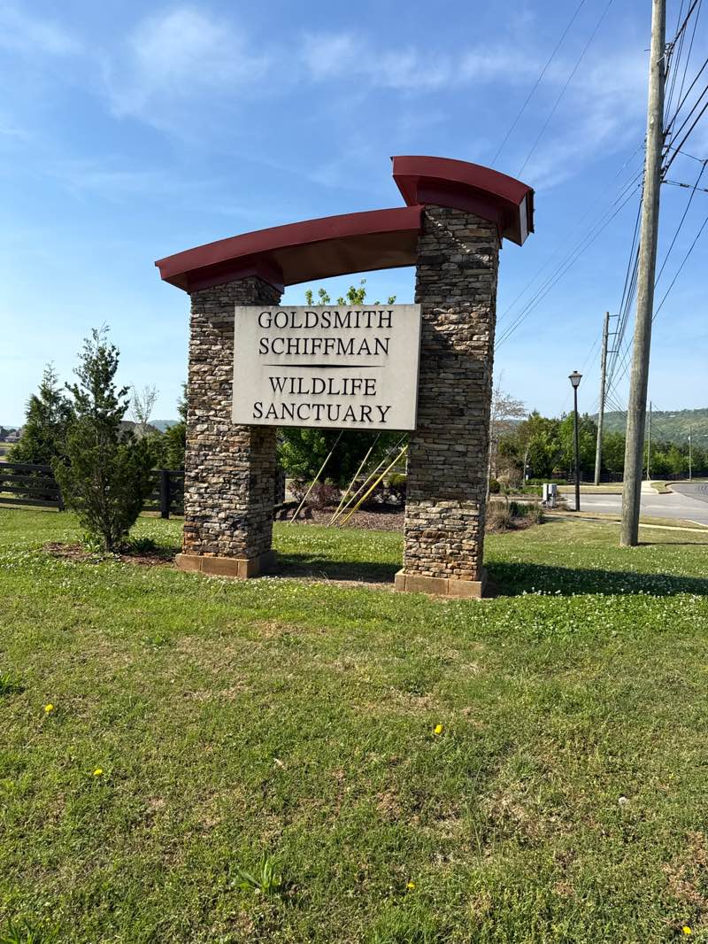 walking near me in Goldsmith-Schiffman Wildlife Sanctuary in spring
