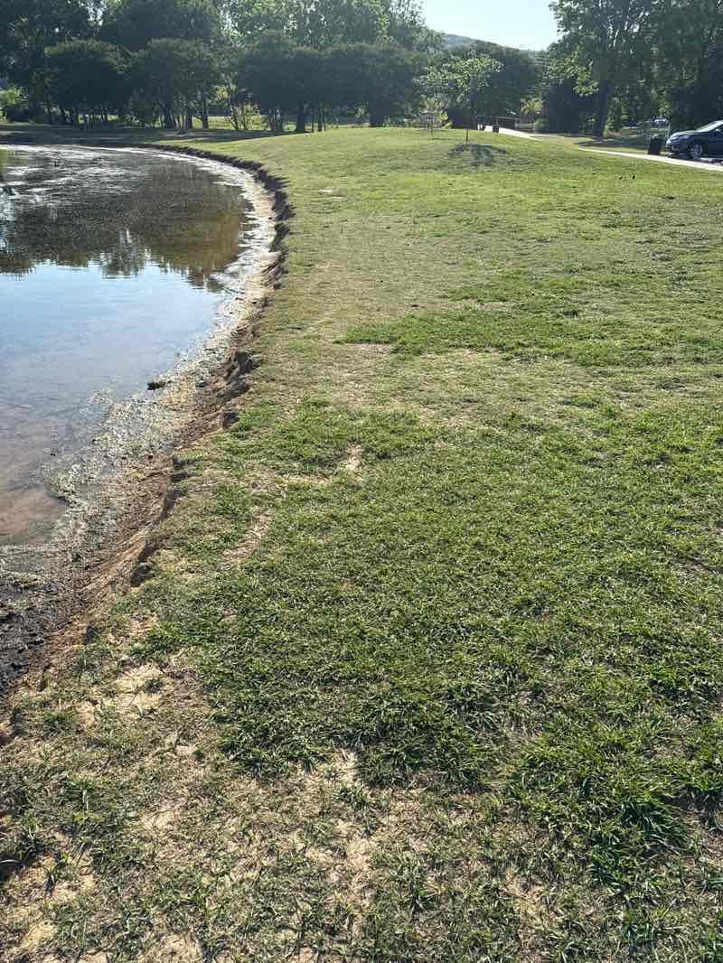 walking near me in Jones Family Park in spring