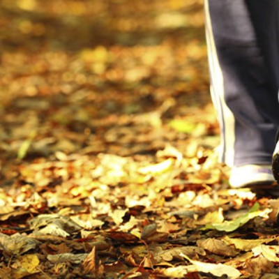 Your Wellbeing - Diligenta Kylie post image