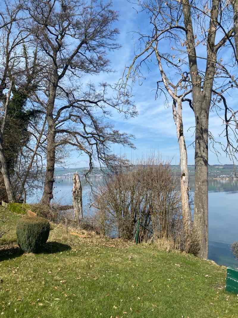 walking near me in Seebad Sempach in spring