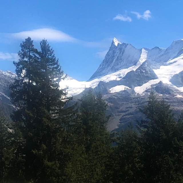 Bern Jan 🇨🇭 post image