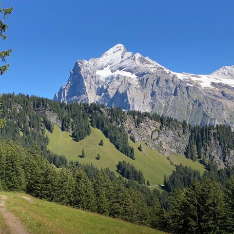 Bern Jan 🇨🇭 post image