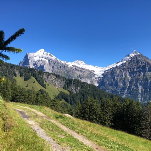 Bern Jan 🇨🇭 post image