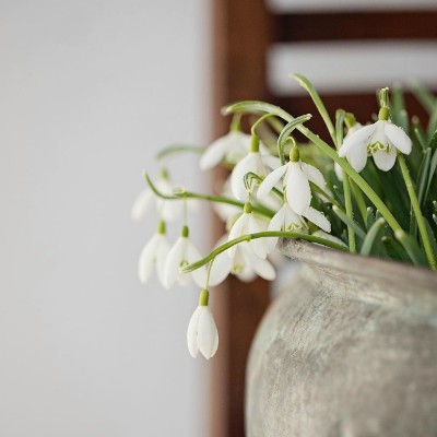 Шагаем в удовольствие Александра ✨️ post image