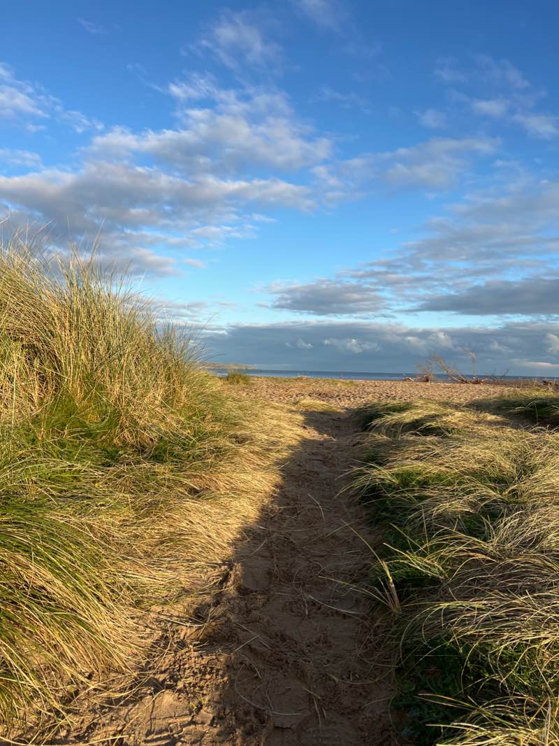 walking near me in Robswall Park in winter