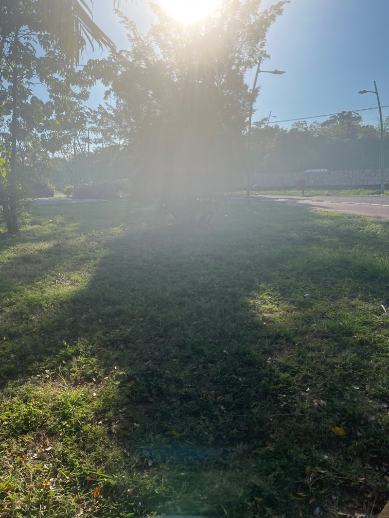 walking near me in Los Cerritos in winter