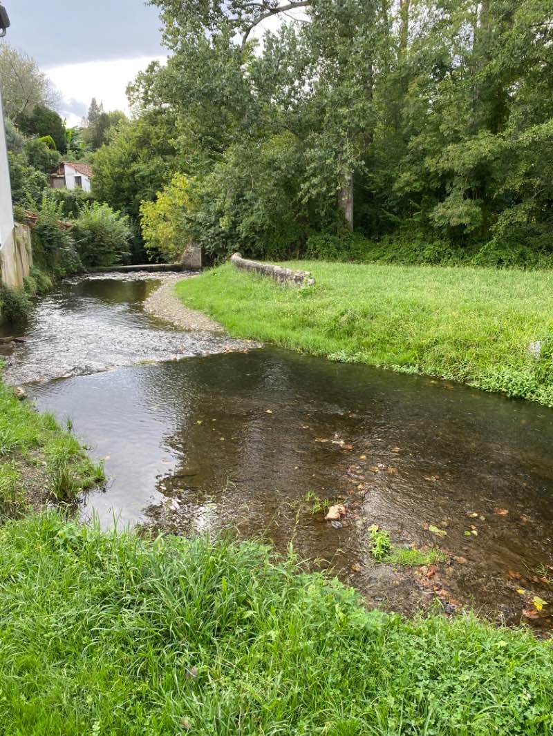 walking near me in Arboretum du père Armand David in winter
