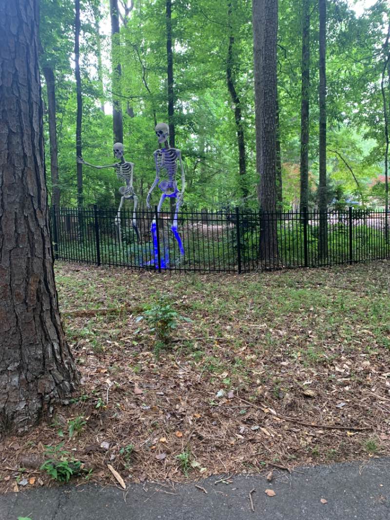 walking near me in Lake Kedron Park in winter
