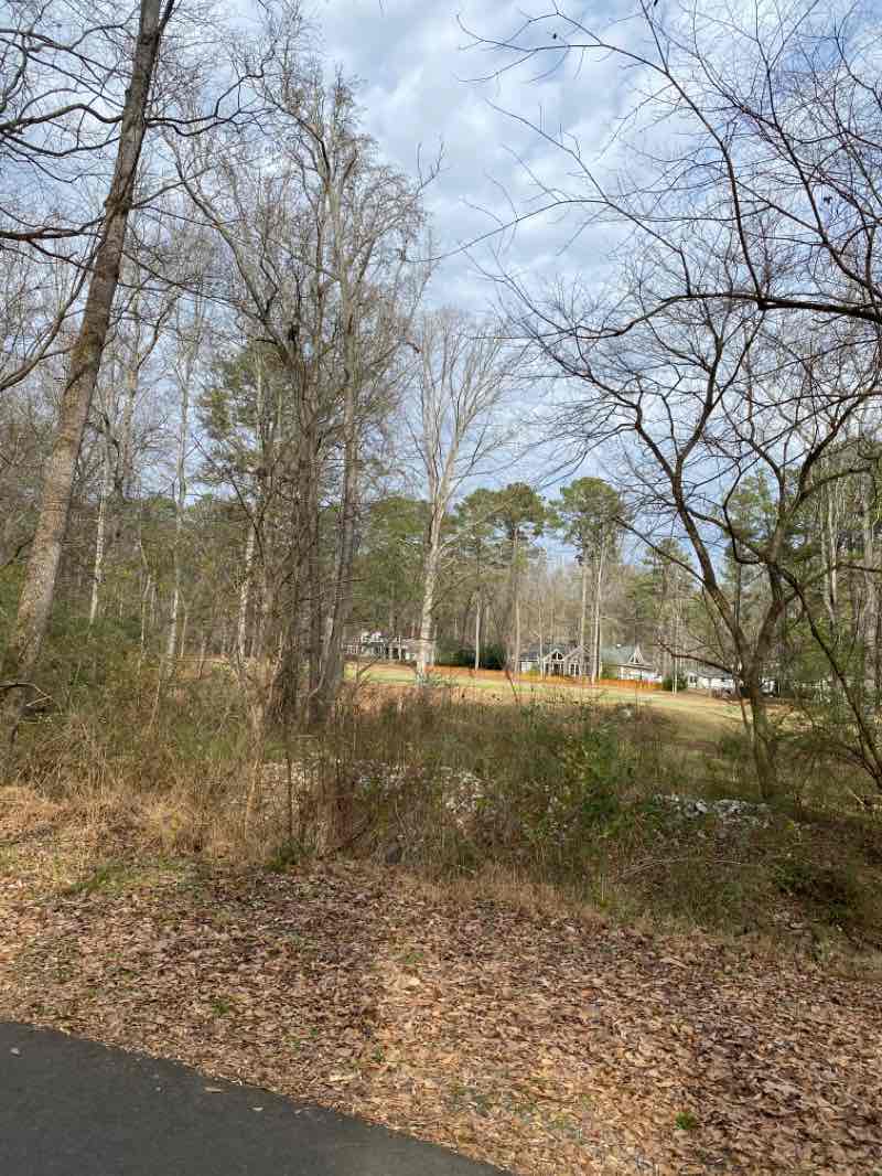walking near me in Blue Smoke Park in winter