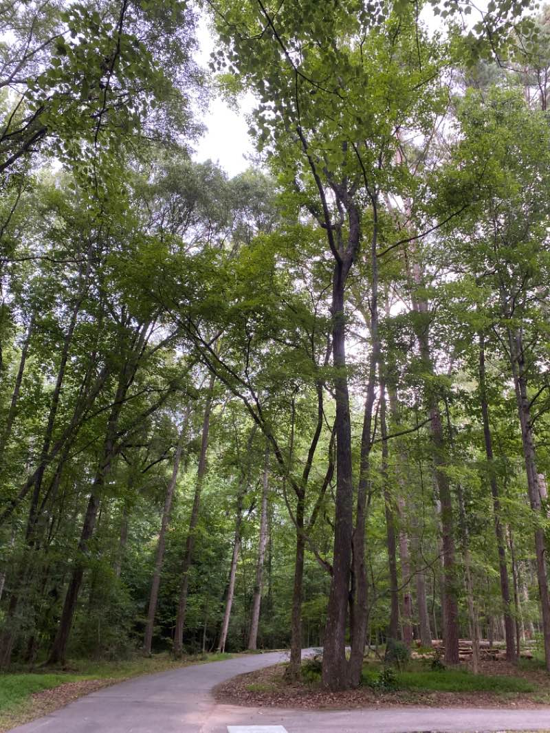 walking near me in Battery Way Park in winter