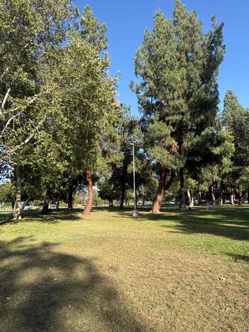 walking near me in Warner Park in summer