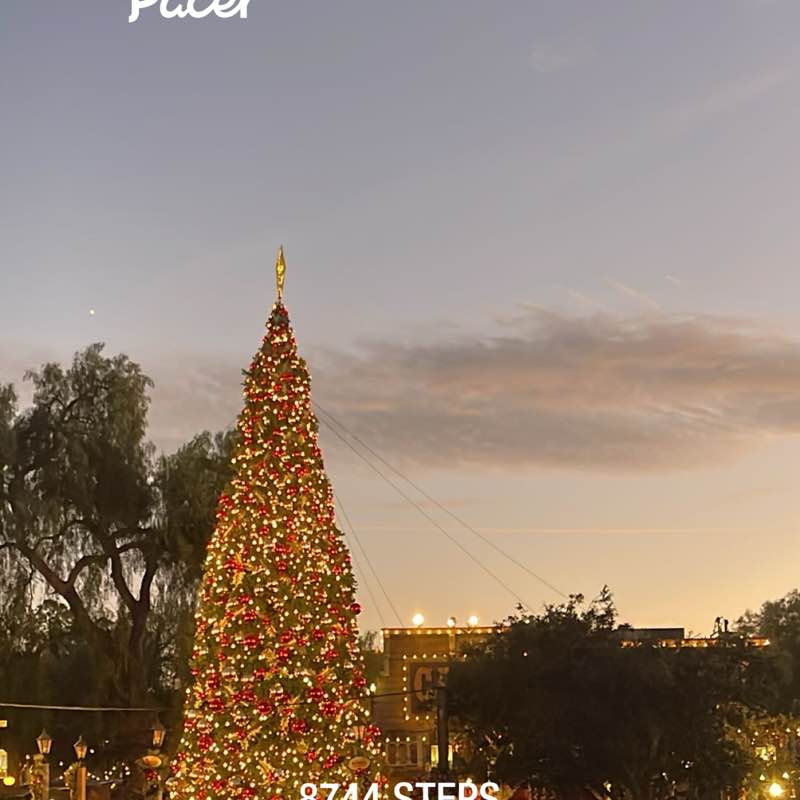 Suchafcknlady post 1