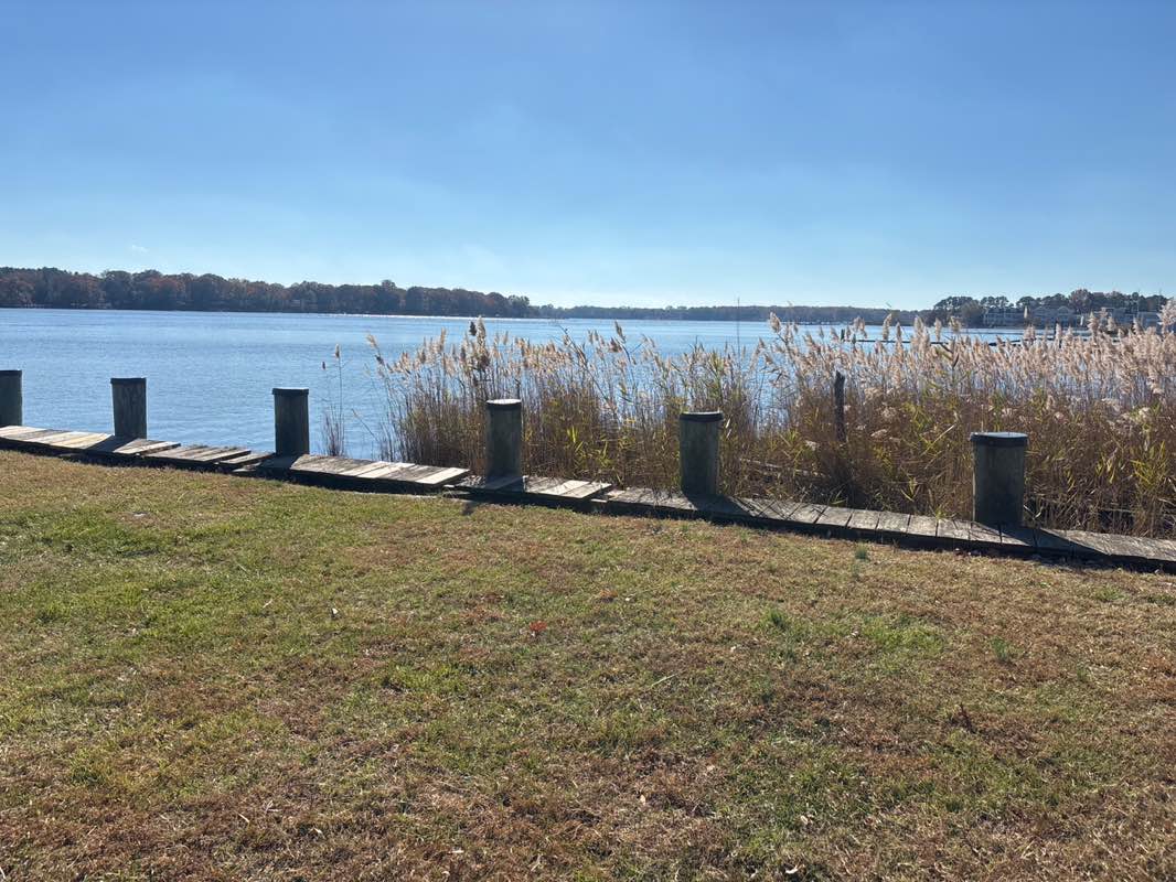 walking near me in Wilmer Park in autumn