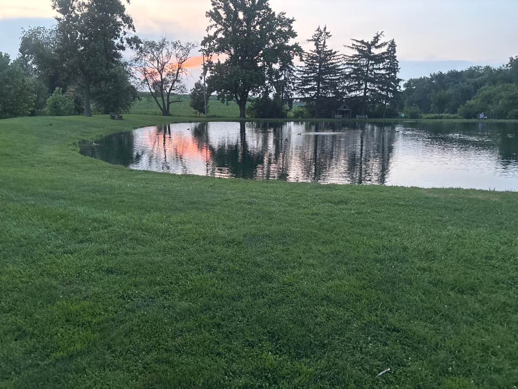 walking near me in Nolt's Park in summer