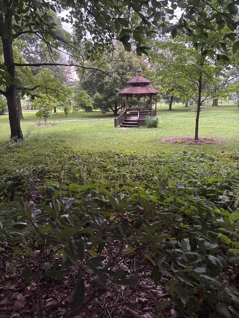 walking near me in Groff Memorial Park in autumn