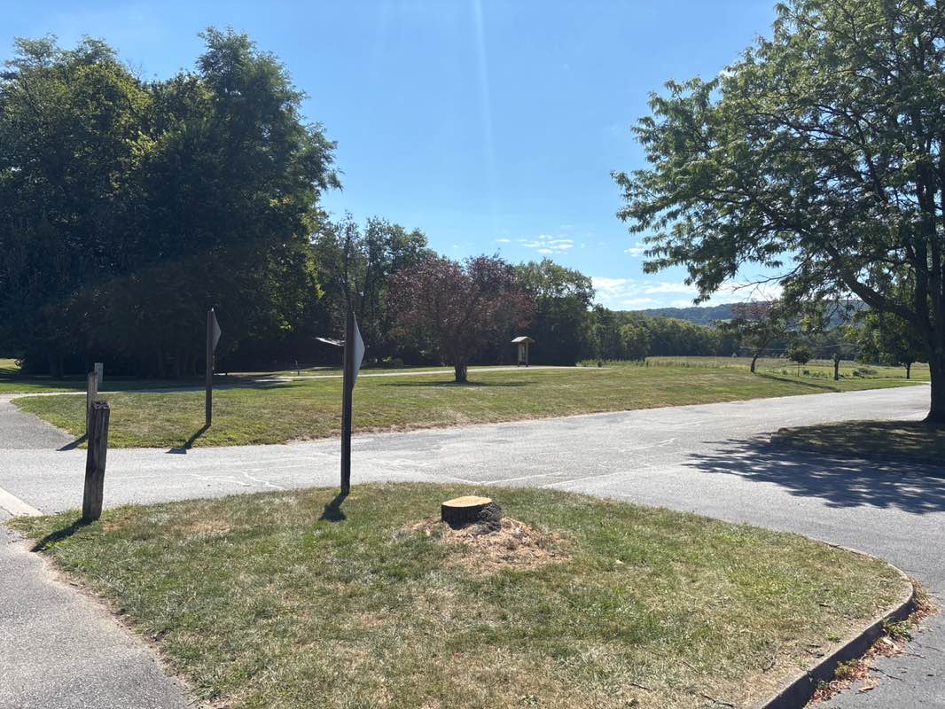 walking near me in John Rudy Park in autumn