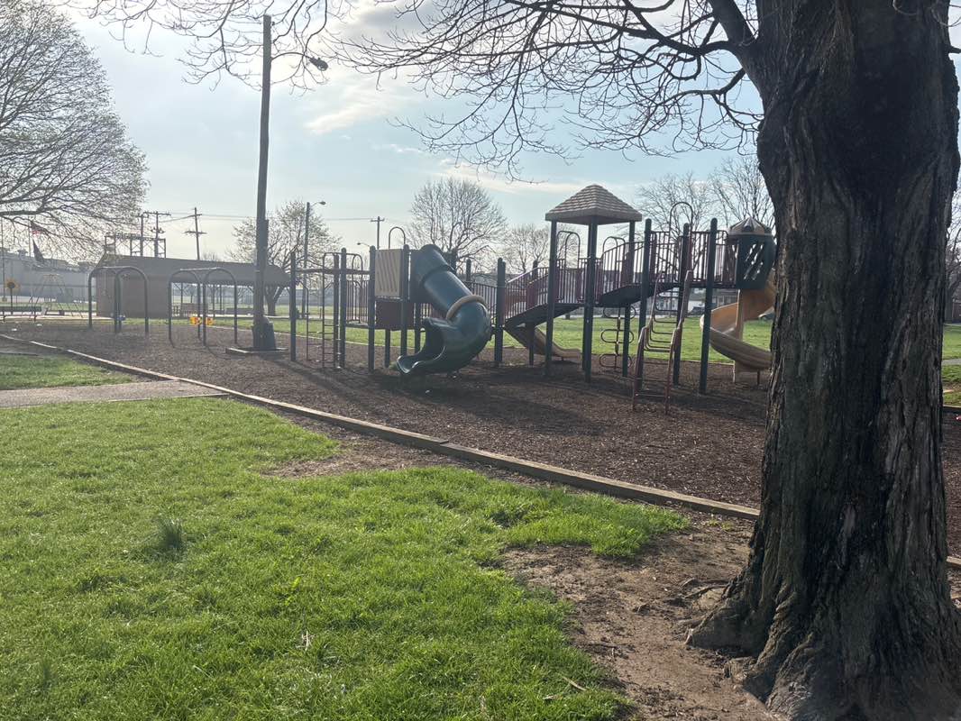 walking near me in Shelly Park in spring