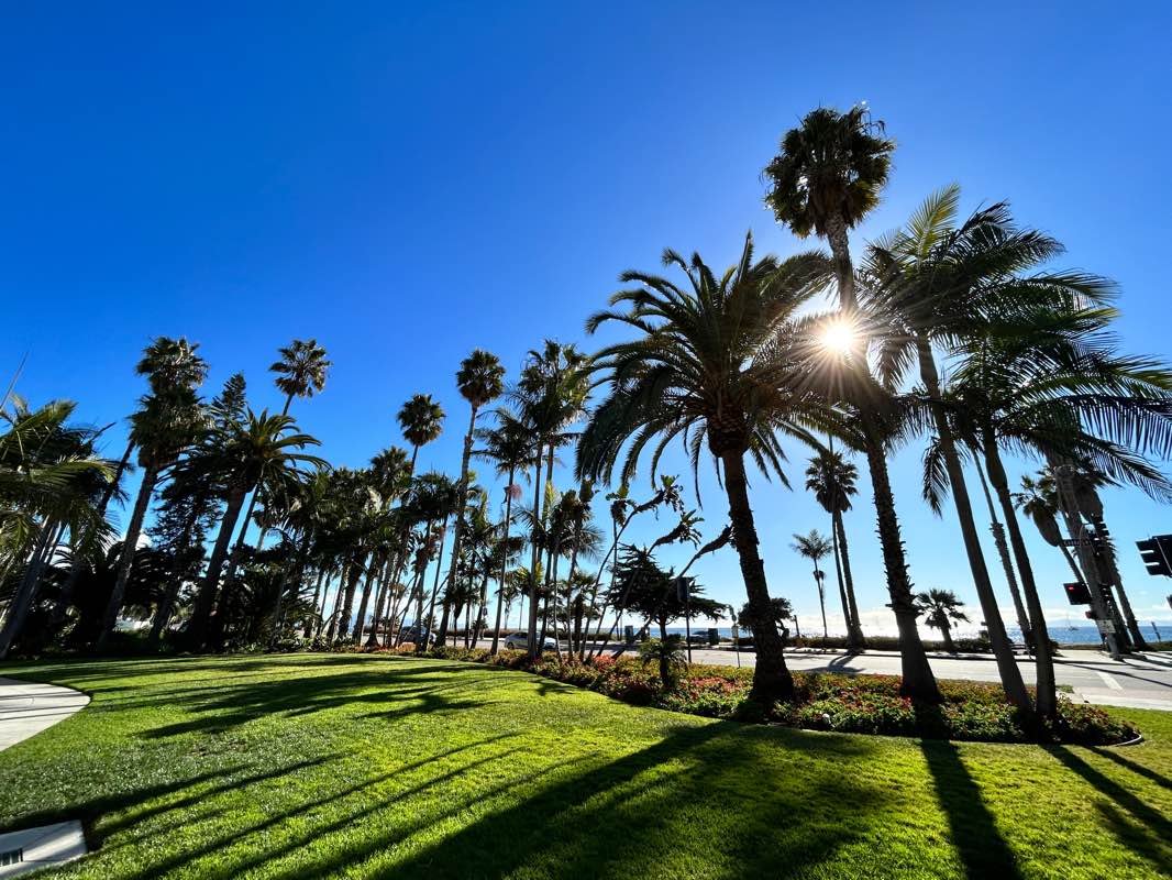 walking near me in Chase Palm Park in winter