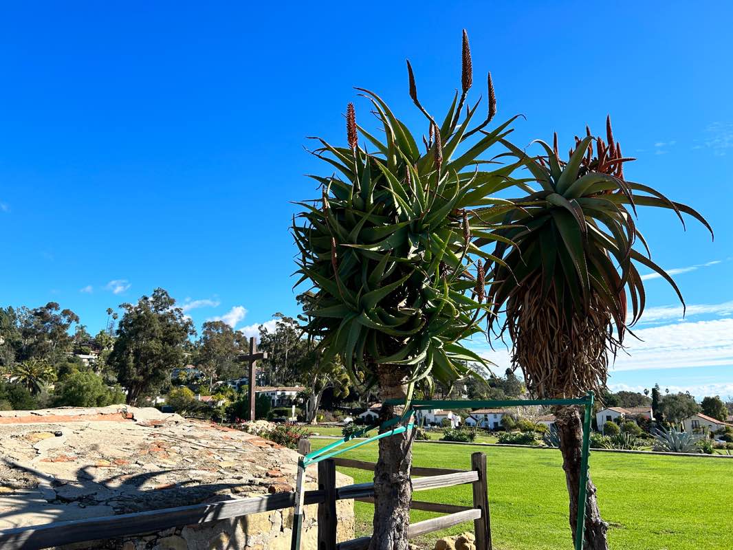 walking near me in Mission Historical Park in winter