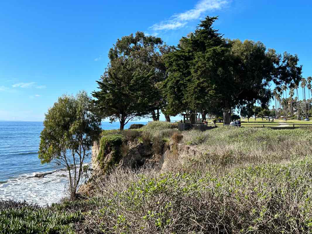 walking near me in Shoreline Park in winter