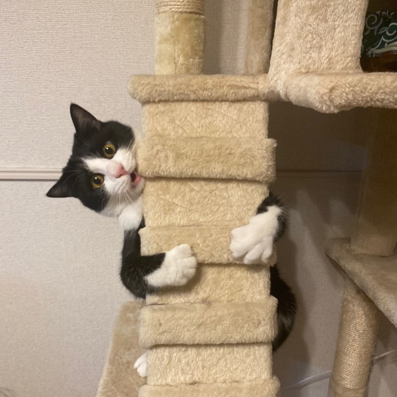 松尾沙織（業務企画部） profile