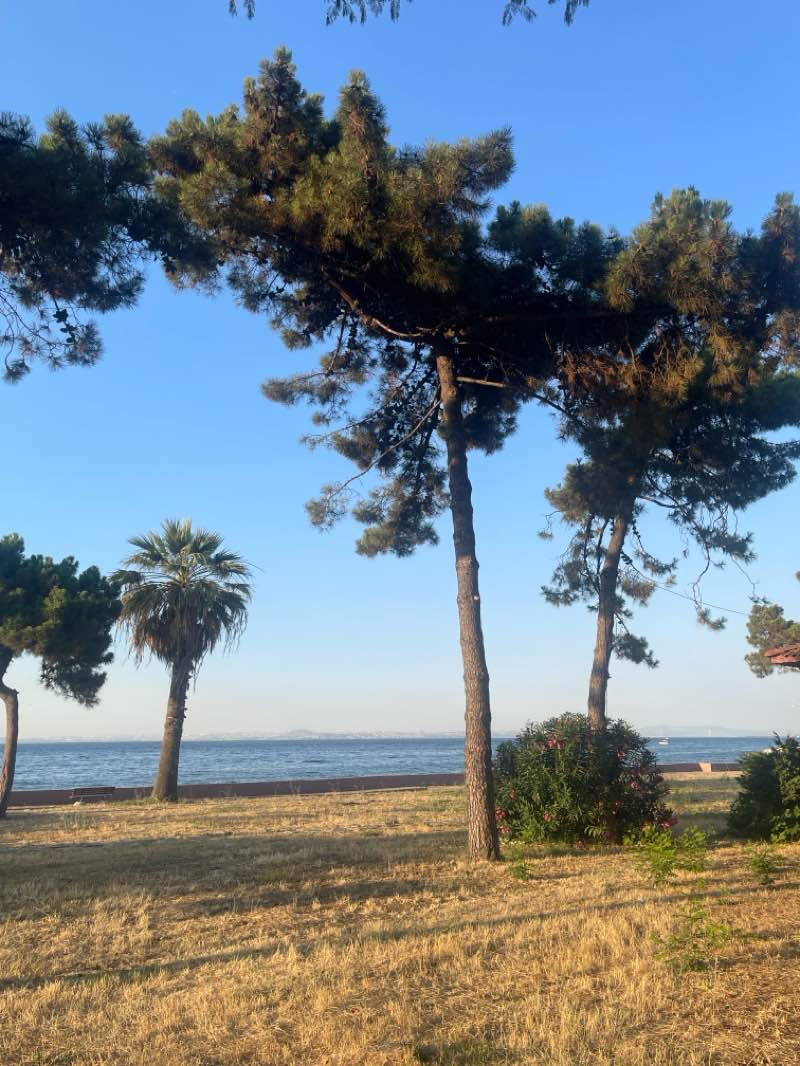 walking near me in Park in autumn