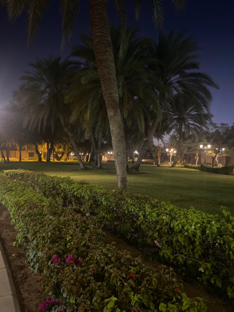 walking near me in Al Qurm Natural Park in winter