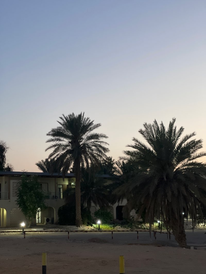 walking near me in Falcon Park in winter