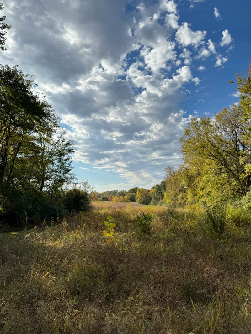 walking near me in Greenspace North Park in winter
